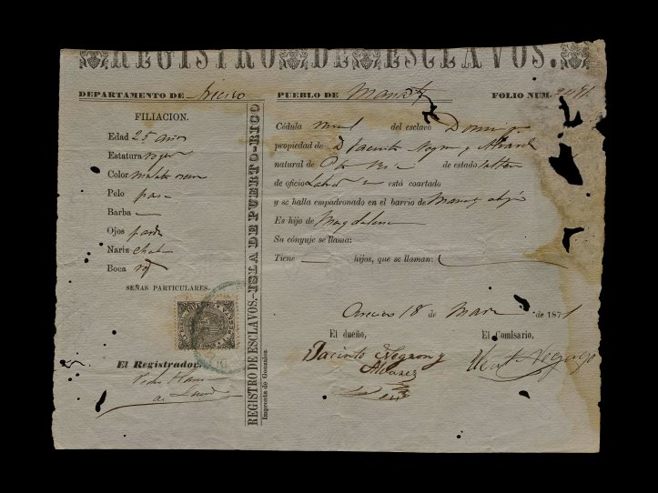 Page from a Slave Register.jpg